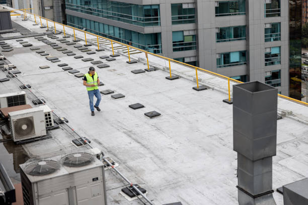 Best Roof Insulation Installation  in Fruitport, MI