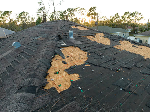 Best Metal Roofing Installation  in Fruitport, MI