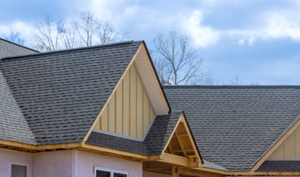Professional Roofing in Fruitport, MI